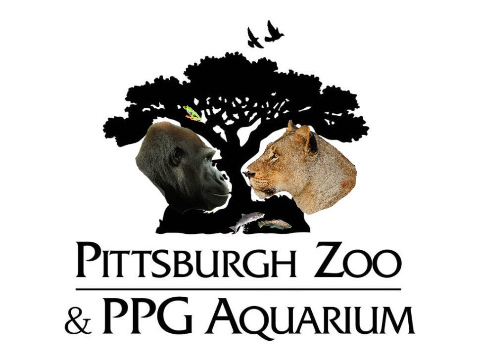 Pittsburgh Zoo Membership Giveaway Upper St Clair Club